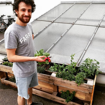 Urban Gardening (Gemüsebeet in der Stadt)